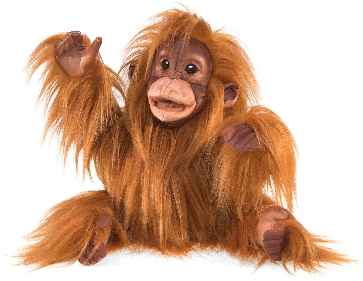 Baby Orangutan